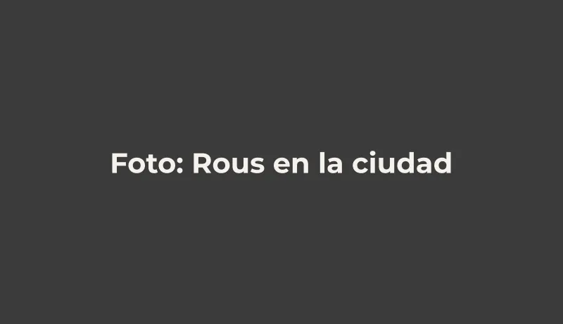 Rous en la ciudad